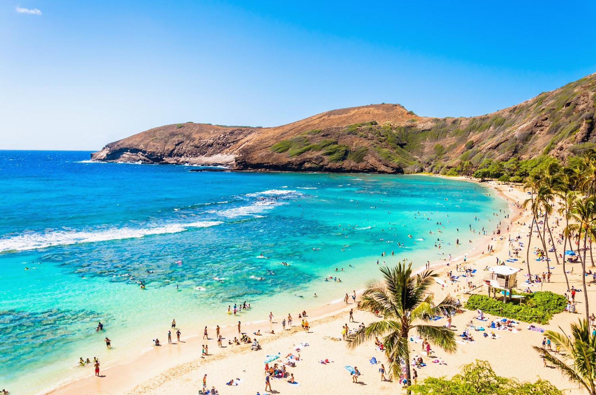 Ocean & Diamond Head Views - Near Beach - Parking! Honolulu Exterior foto